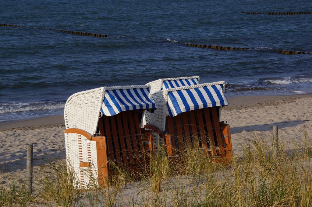 Апартаменты Urlaub Auf Der Insel Ruegen Берген-ауф-Рюген Экстерьер фото